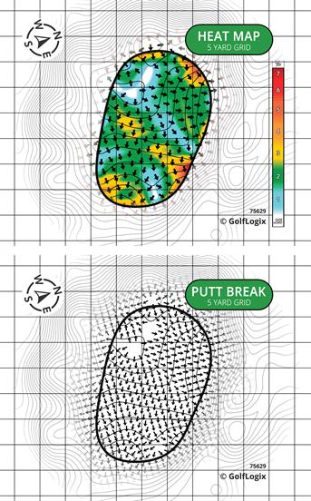 The Forest Country Club The Bear