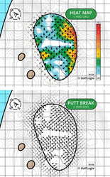 The Dye Preserve Dye