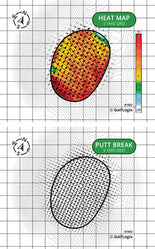 Whispering Woods Whispering Woods