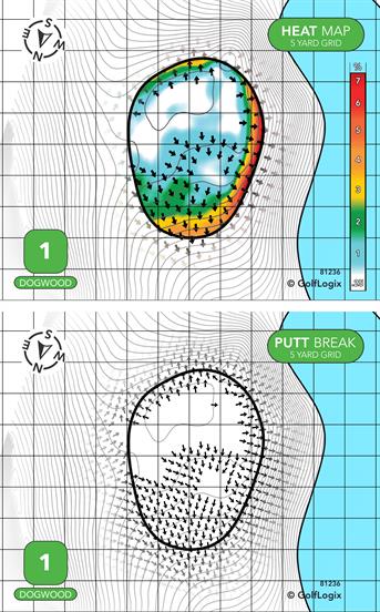 Waynesville Country Club ( Dogwood - Blue Ridge - Carolina )