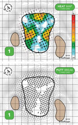 Golden Horseshoe Golf Club Green