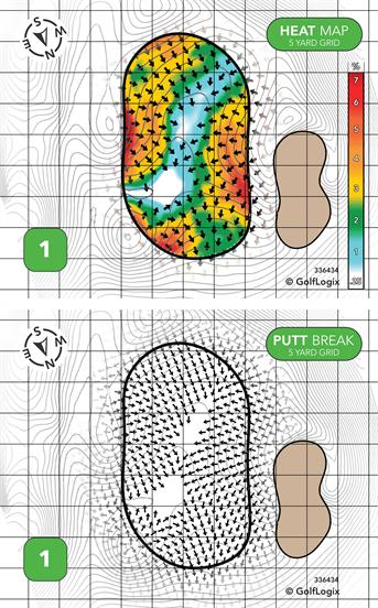The Villages Gray Fox