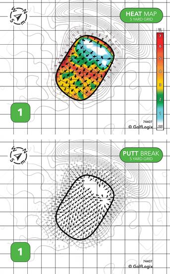 Bird Homestead Golf Course Bird 1