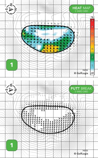 Coopers Hawk Coopers Hawk