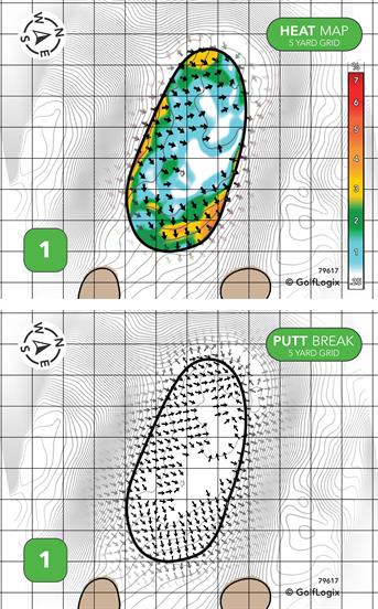 Evergreen Resort Spruce